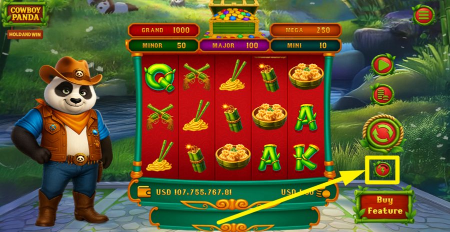 Cowboy Panda Hold And Win Turbo