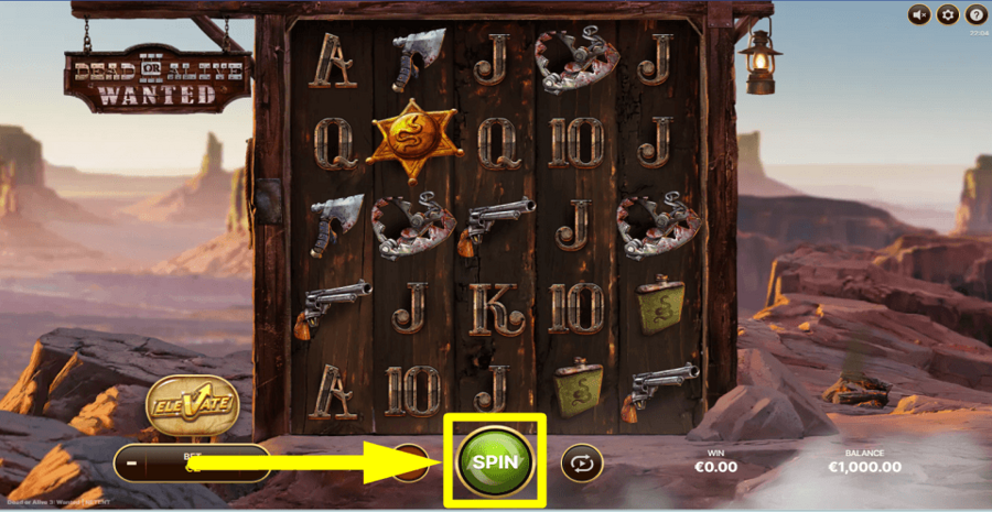 Dead Or Alive 3 Wanted Spin Button