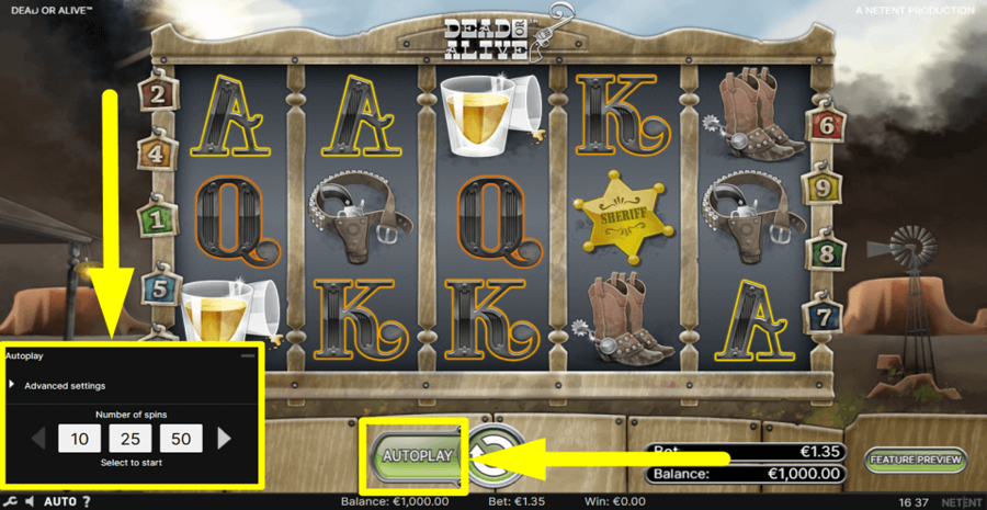 Dead Or Alive Autoplay Feature