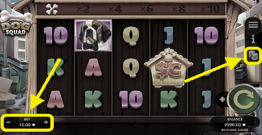Dog Squad Bet Selection