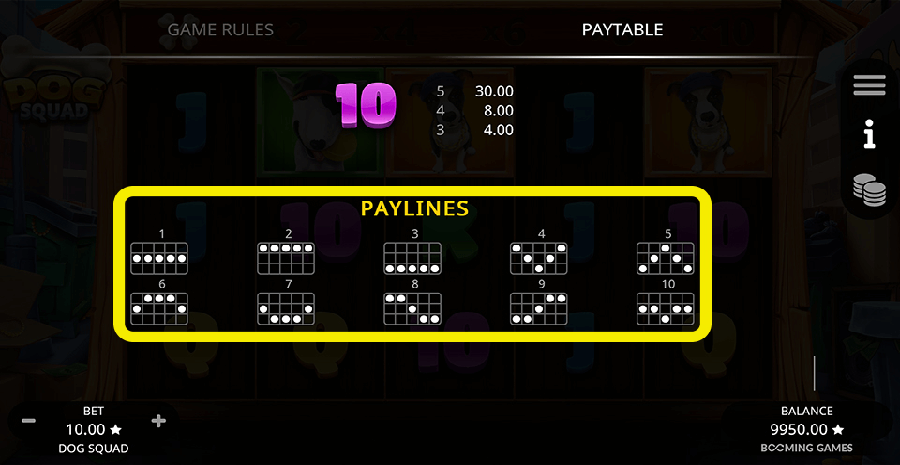 Dog Squad Paylines