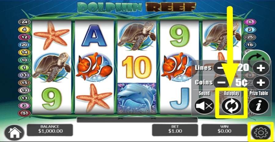 Dolphin Reef Autoplay Feature