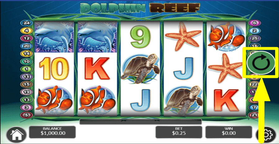 Dolphin Reef Spin Button
