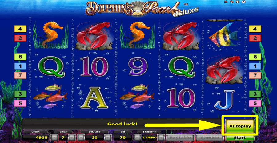 Dolphins Pearl Deluxe Autoplay Feature