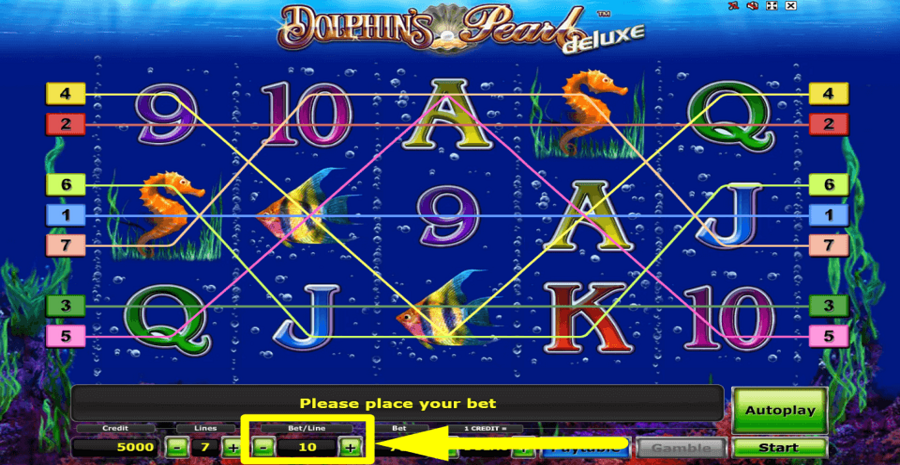 Dolphins Pearl Deluxe Bet Value