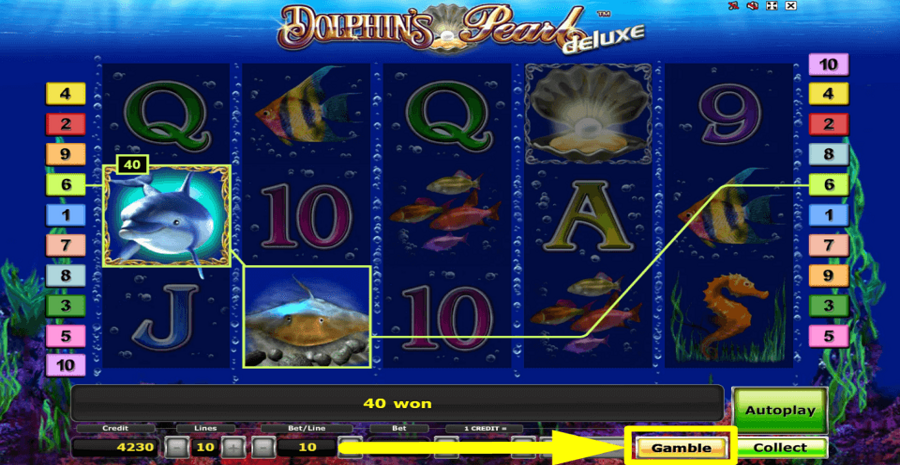 Dolphins Pearl Deluxe Gamble Feature