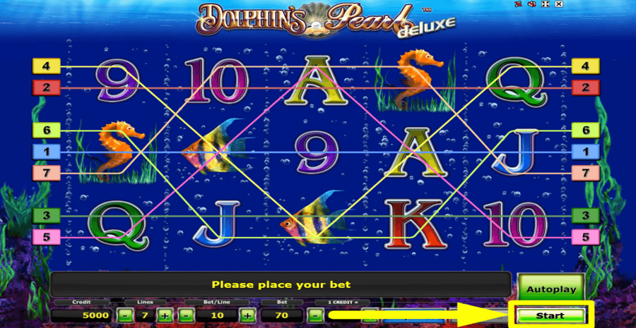 Dolphins Pearl Deluxe Start Button