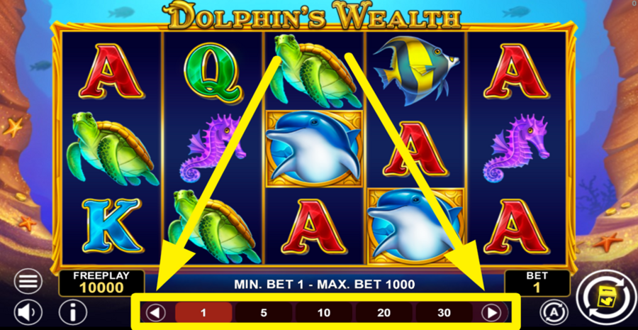 Dolphins Wealth Adjust Bet