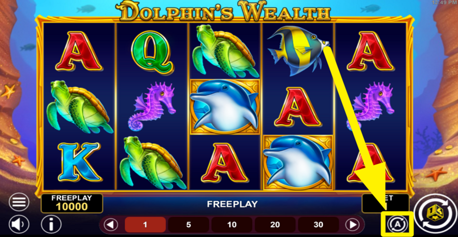 Dolphins Wealth Autoplay