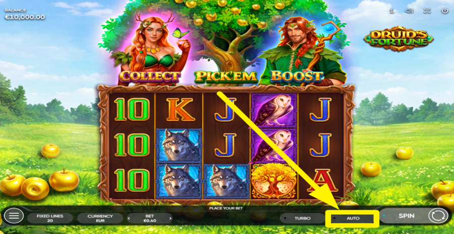 Druids Fortune Autoplay