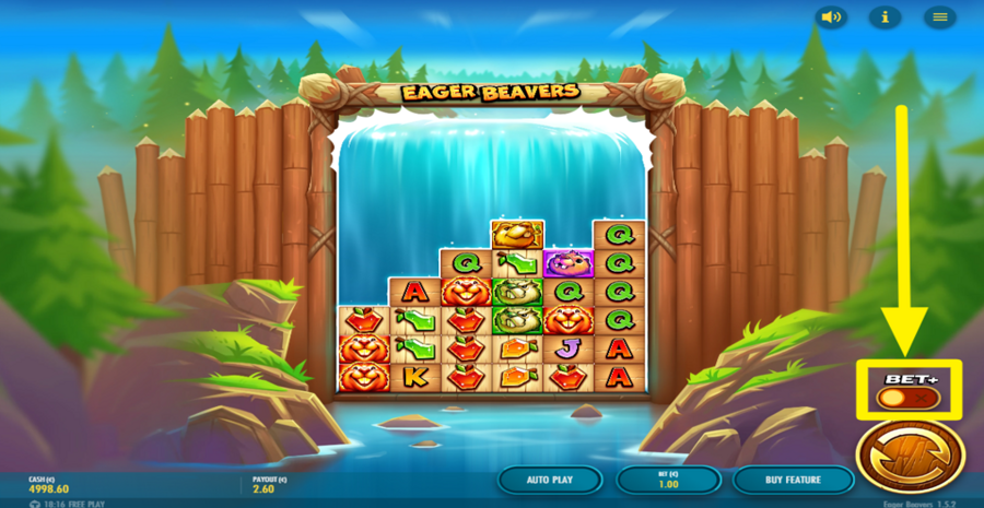 Eager Beavers Bonus Boost