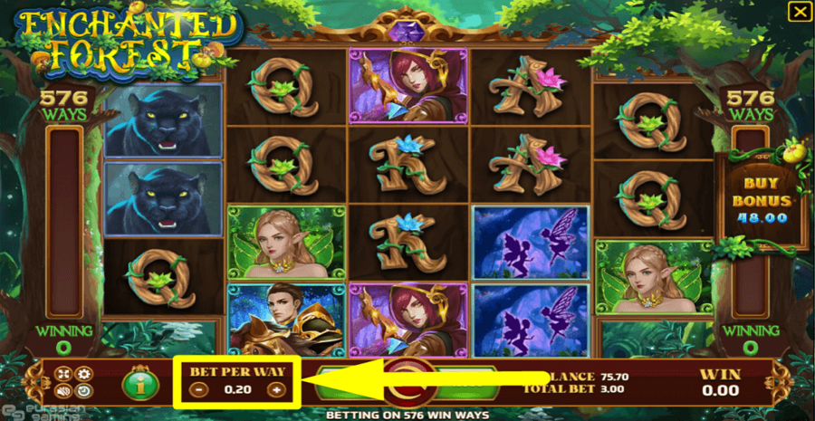 Enchanted Forest Bet Value