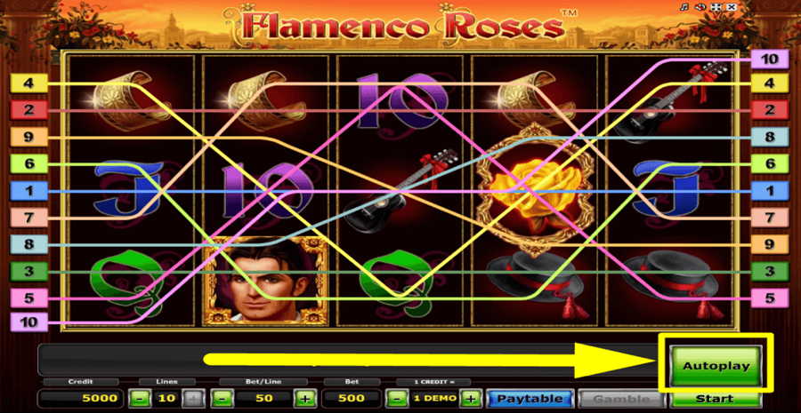 Flamenco Roses Autoplay Feature