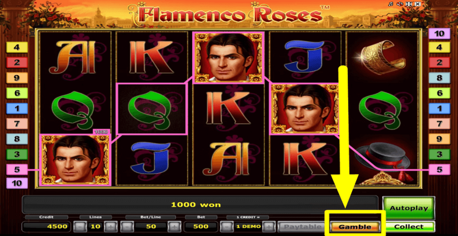 Flamenco Roses Gamble Feature