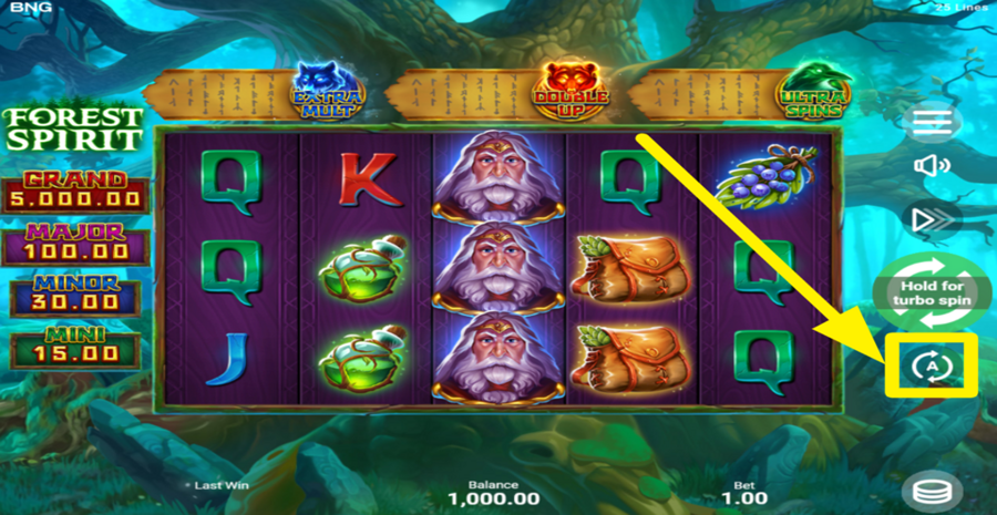 Forest Spirit Autoplay