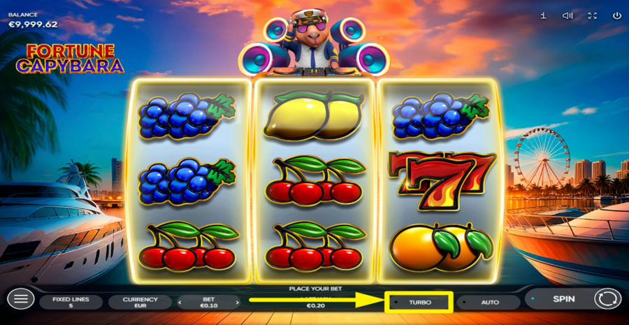 Fortune Capybara Turbo