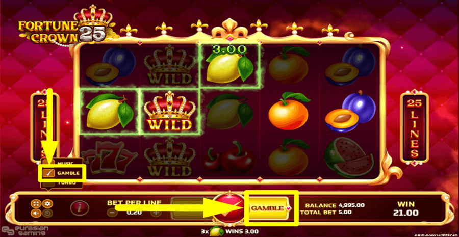 Fortune Crown 25 Gamble Feature