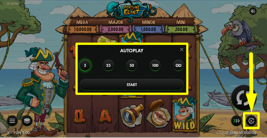 Fortune Of Flint Autoplay Feature