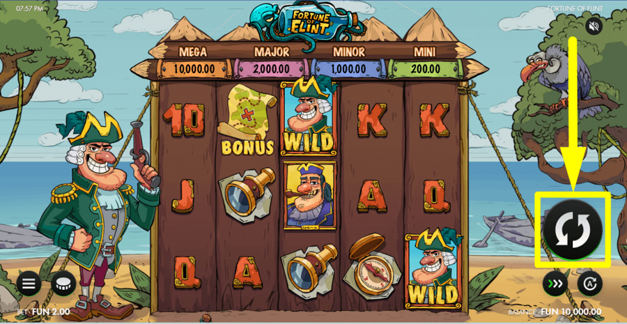 Fortune Of Flint Spin Button