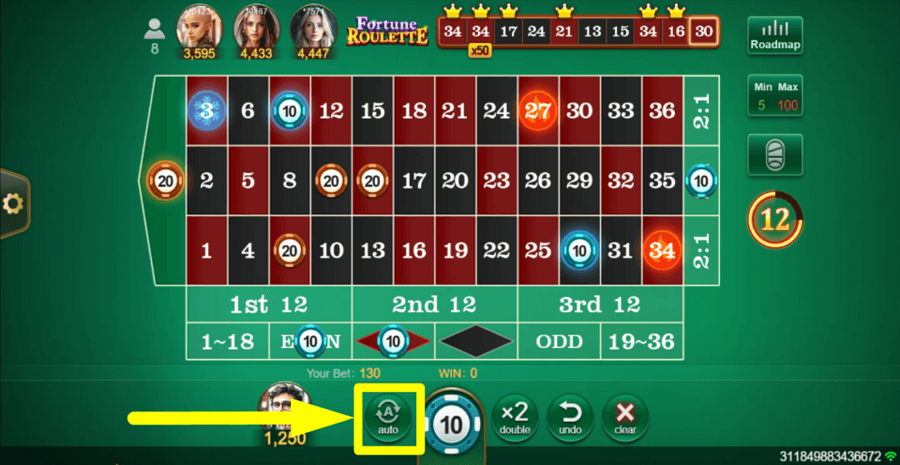 Fortune Roulette Autoplay Feature