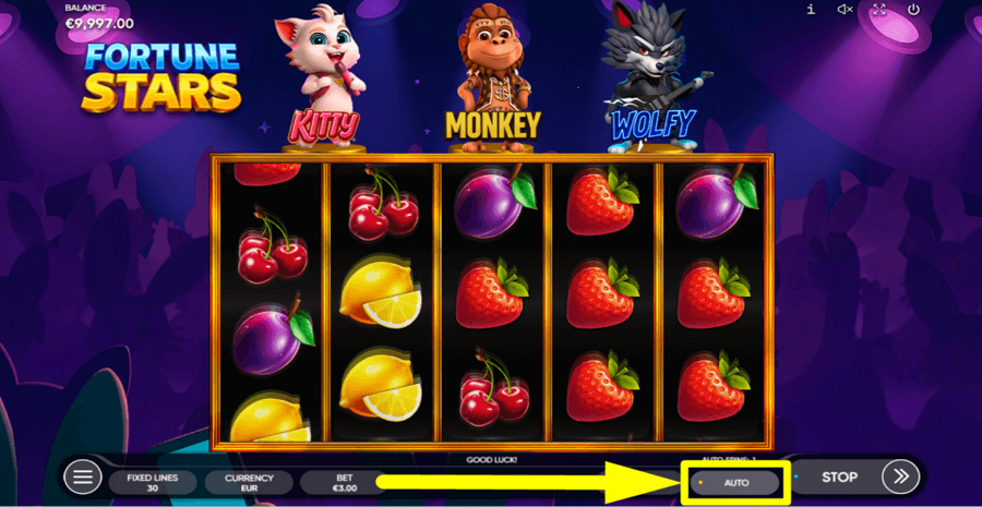 Fortune Stars Autoplay Feature