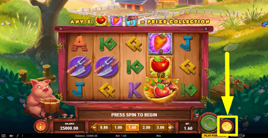 Fox Mayhem Autoplay Feature