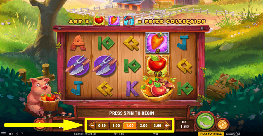 Fox Mayhem Bet Value