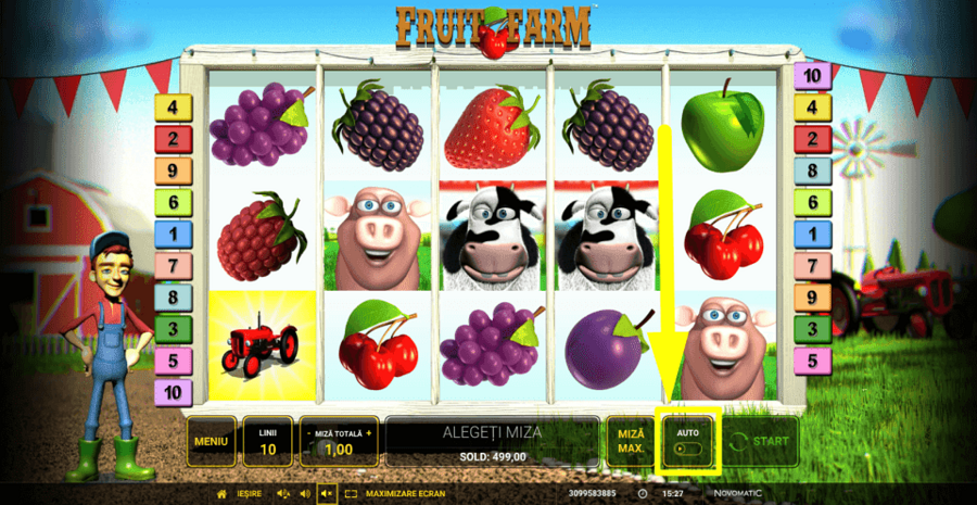 Fruit Farm Autoplay Feature