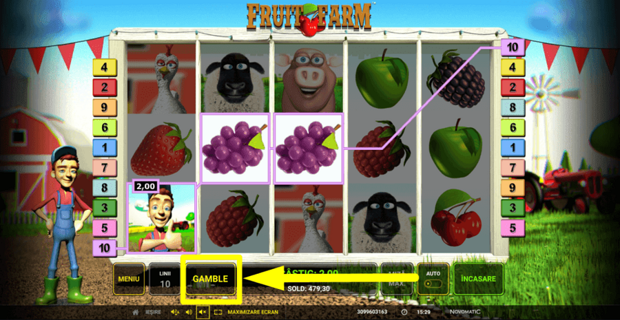 Fruit Farm Gamble Feature