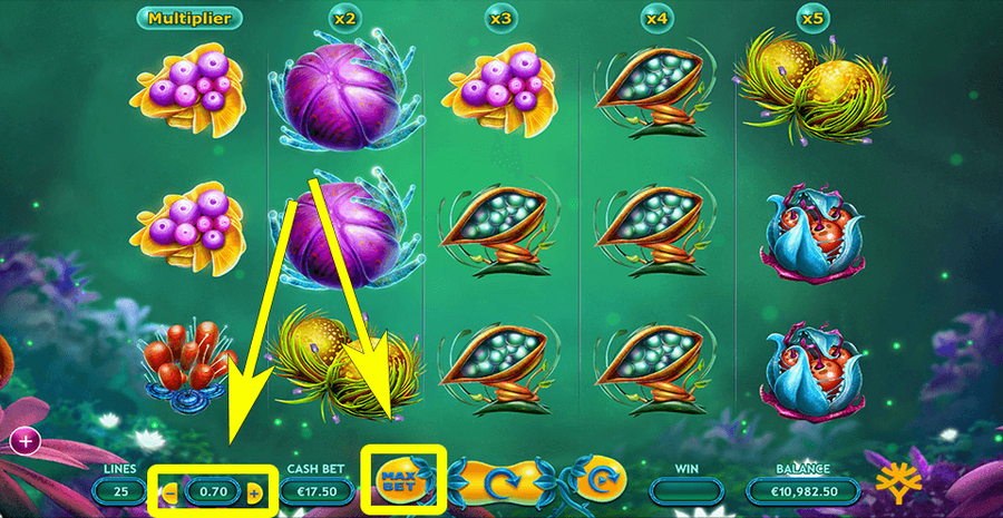 Fruitoids 1