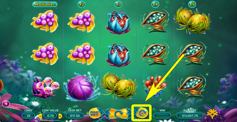 Fruitoids 4