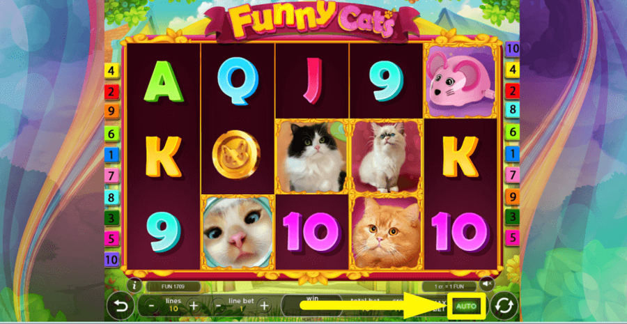 Funny Cats Slot Bewertung, Demo & Boni (96% RTP)
