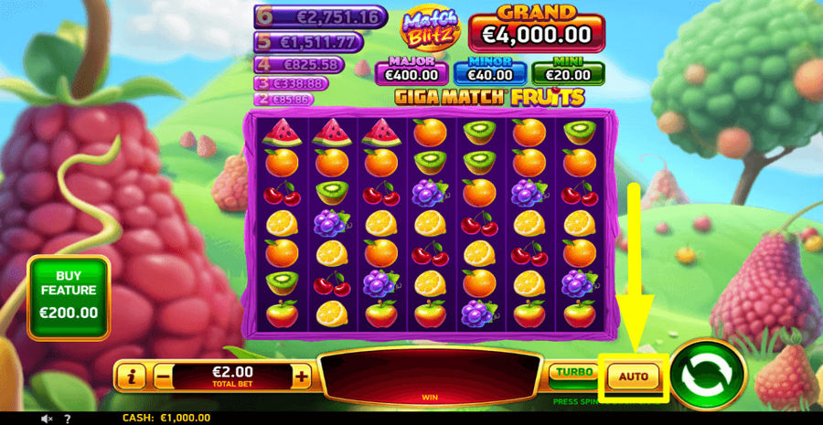 Giga Match Fruits Autoplay Feature