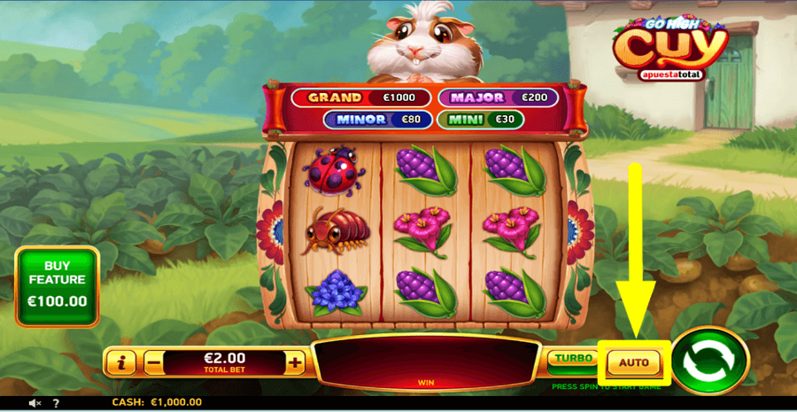Go High Cuy Apuesta Total Autoplay Feature