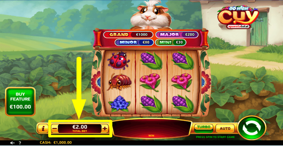 Go High Cuy Apuesta Total Bet Value