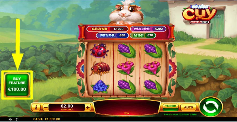 Go High Cuy Apuesta Total Buy Feature