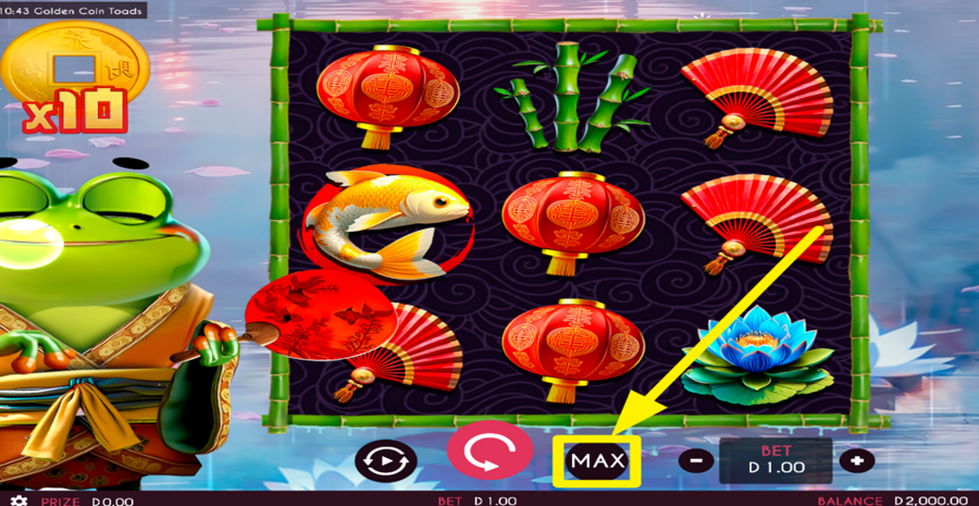 Golden Coin Toads Max