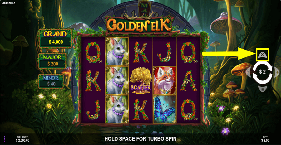 Golden Elk Autoplay Feature