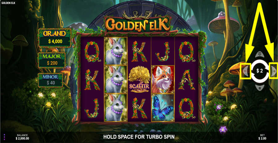 Golden Elk Bet Value