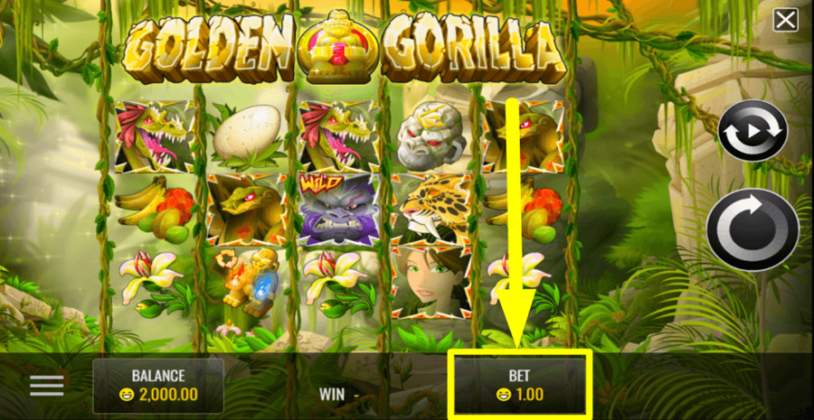 Golden Gorilla Bet Value