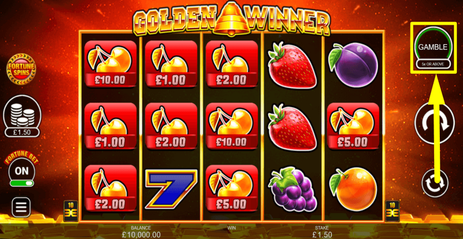 Golden Winner Gamble Feature
