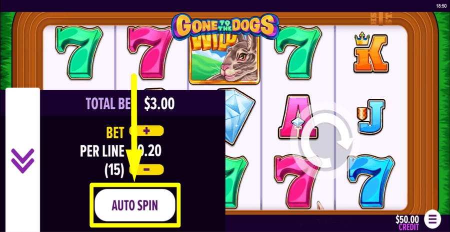 Gone To The Dogs Autoplay Feature