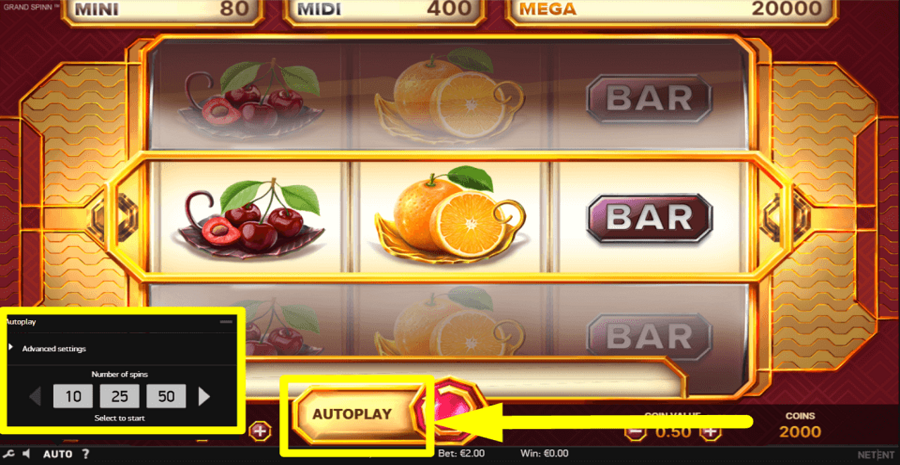 Grand Spinn Autoplay Feature