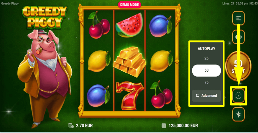 Greedy Piggy Autoplay Feature
