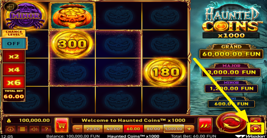 Haunted Coins x1000 Autoplay