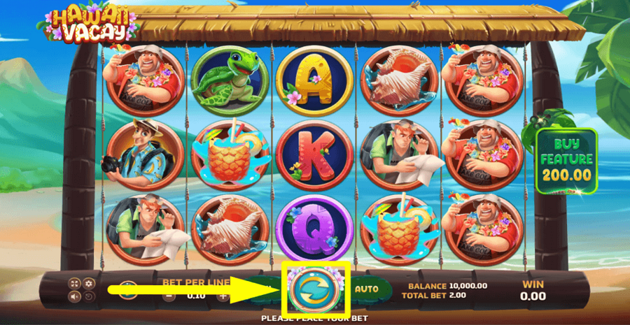 Hawaii Vacay Spin Button