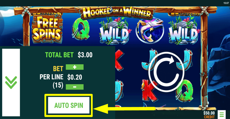 Hooked On A Winner Autoplay Feature