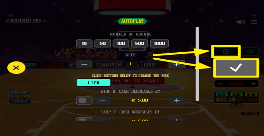 Hoop Champion Autoplay