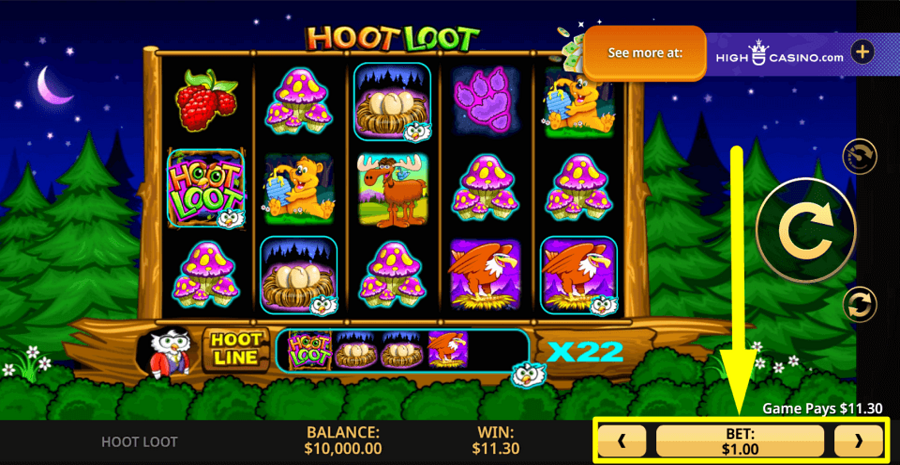 Hoot Loot Bet Value