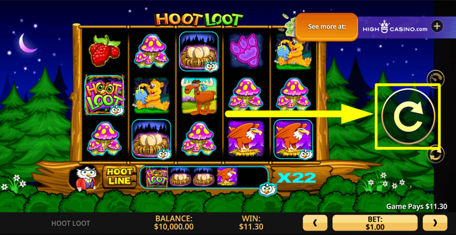 Hoot Loot Spin Button